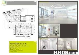 Beaco Design Ltd. 专业室内设计服务，打造理想空间